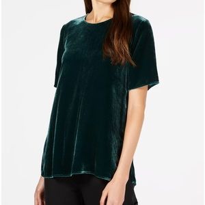 NWT Eileen Fisher Green Short Sleeve Velvet Tee Size Xl